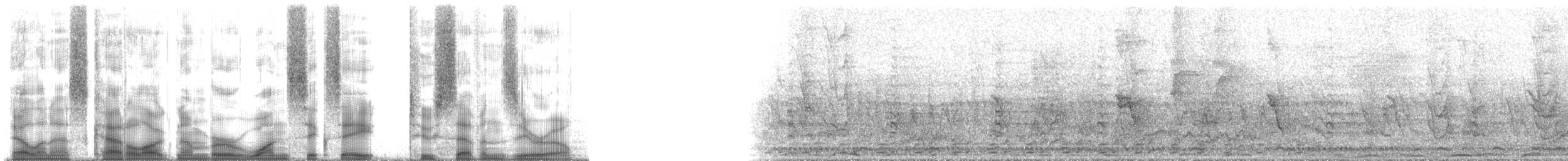 pták sp. - ML168270