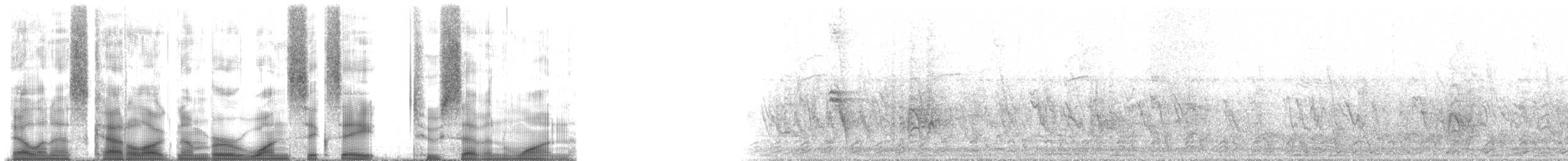 frankolín natalský - ML168271