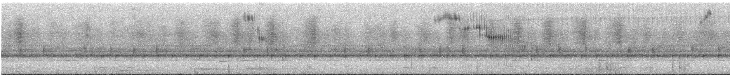 sova temná (ssp. tenebricosa/arfaki) - ML168273341