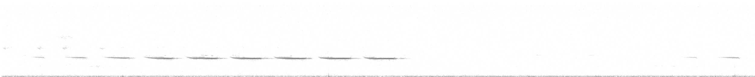 Spotted Quail-thrush - ML168297381