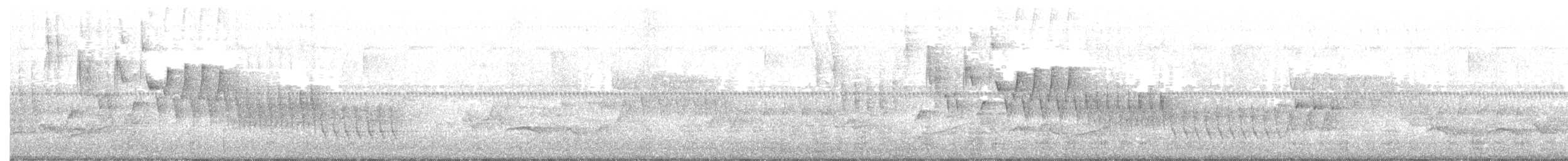 Northern House Wren - ML168301421