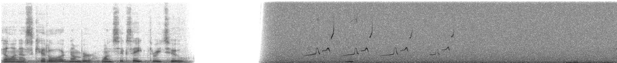 ショウジョウコウカンチョウ - ML16832