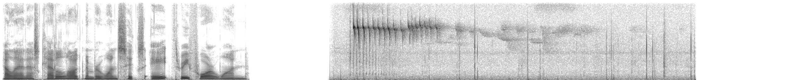 Rotbrust-Spechtpapagei - ML168341