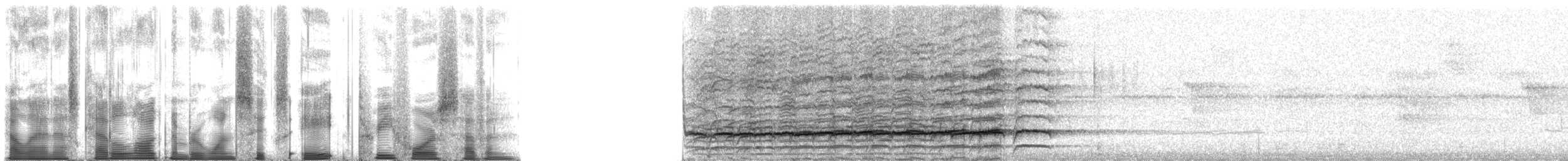 safranparadisfugl - ML168347