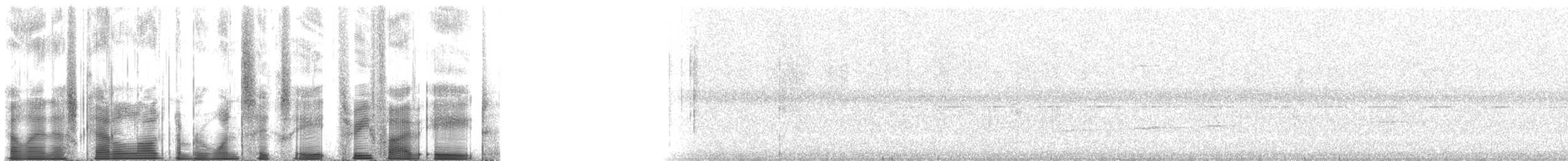 Pracht-Kragenparadiesvogel - ML168358