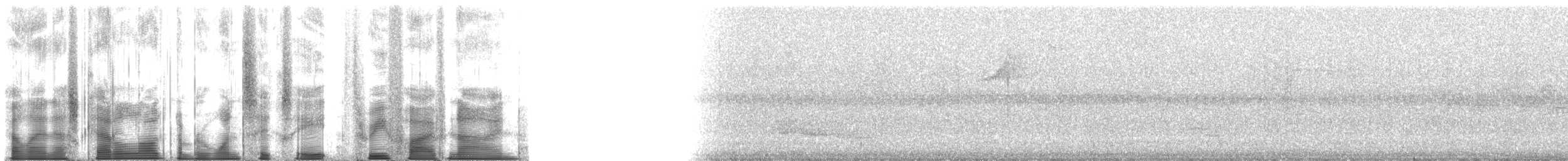 Pracht-Kragenparadiesvogel - ML168359