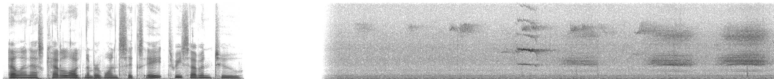Pracht-Kragenparadiesvogel - ML168372