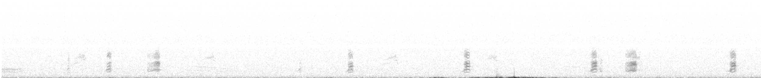 Белокрылый корхан - ML168377191