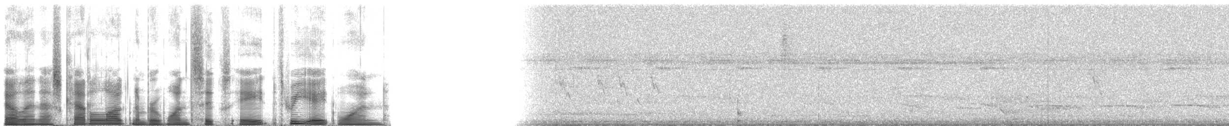 Timorfächerschwanz [setosa-Gruppe] - ML168381