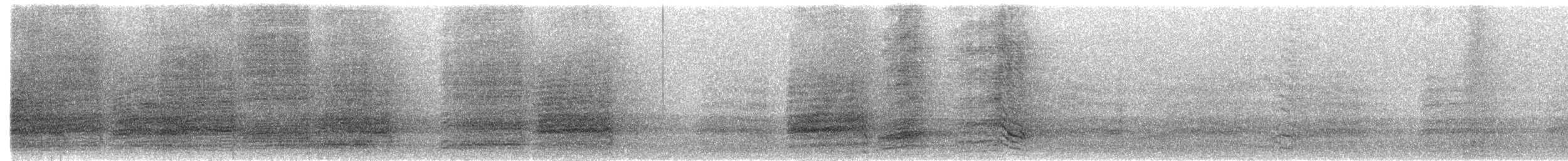 Sulphur-crested Cockatoo - ML168419481