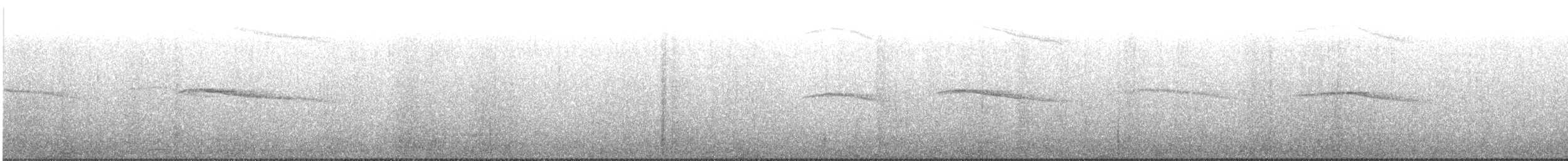 אוריה שחורה - ML168441291