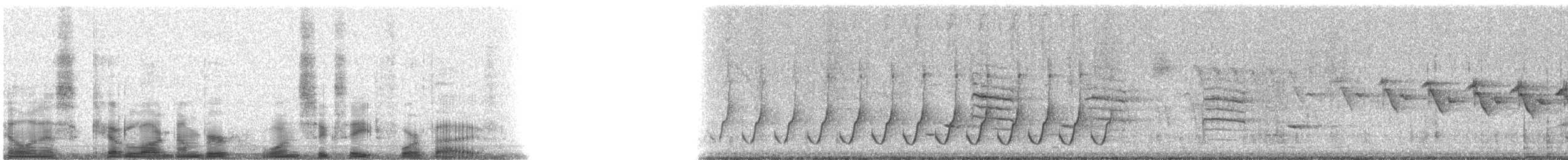 ショウジョウコウカンチョウ - ML16845