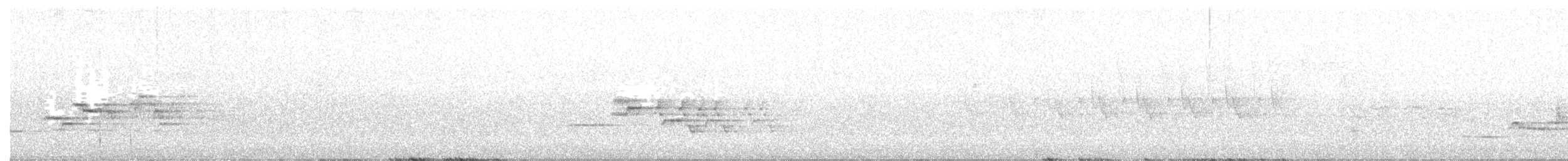 Дрізд-короткодзьоб плямистоволий - ML168452711