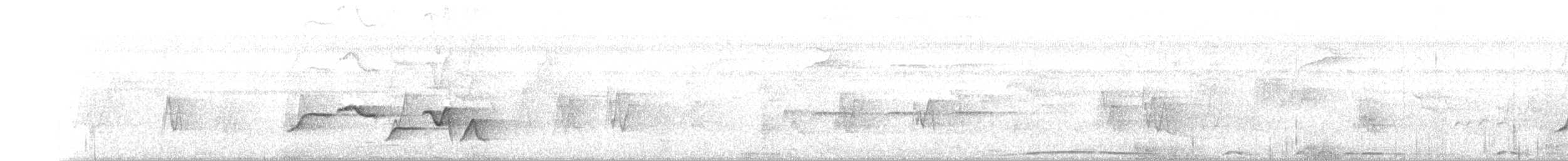 Fleckenbrust-Zaunkönig - ML168464681