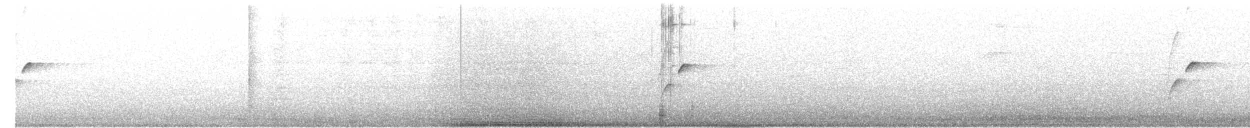 Batı Amerika Sinekkapanı (occidentalis/hellmayri) - ML168488111