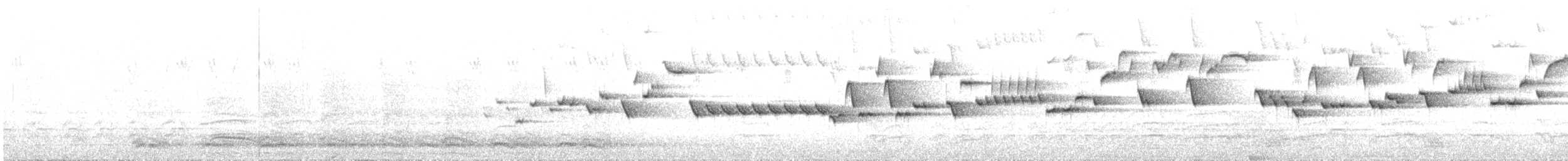 střízlík kanadský - ML168494981