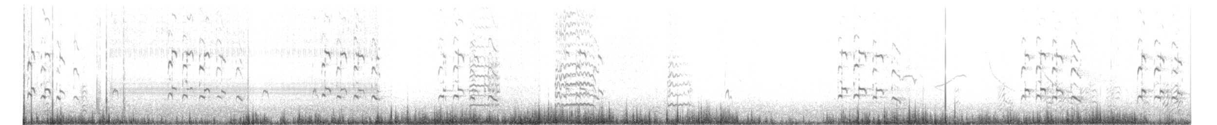 Tüpfelgelbschenkel - ML168503291