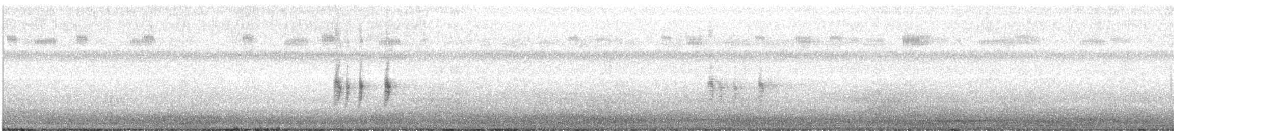 Antillennachtschwalbe - ML168537141