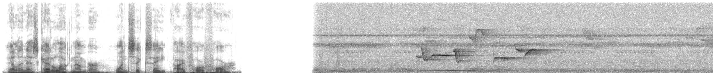 Kestane Sırtlı Ardıç - ML168544