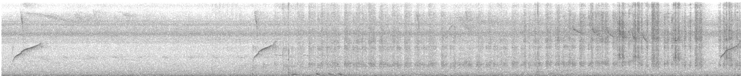 White-headed Wren - ML168544321