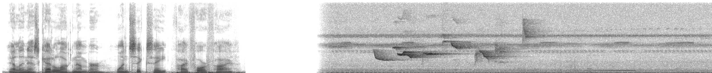 Kestane Sırtlı Ardıç - ML168545