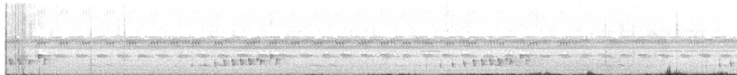 Braunhals-Nachtschwalbe - ML168565421