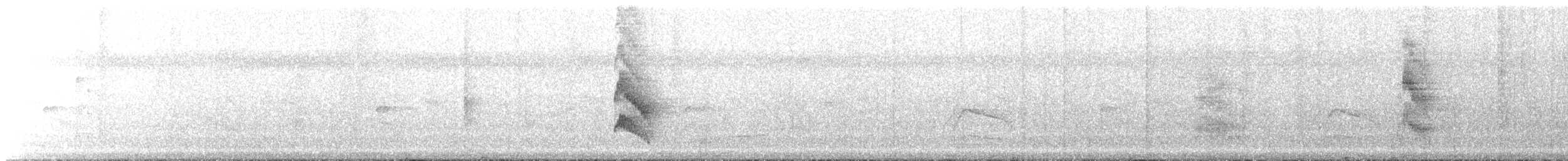 White-bearded Manakin - ML168574491