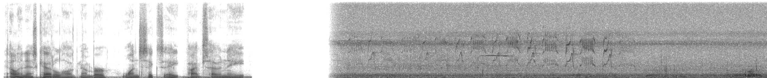 White-nest Swiftlet (White-nest) - ML168578