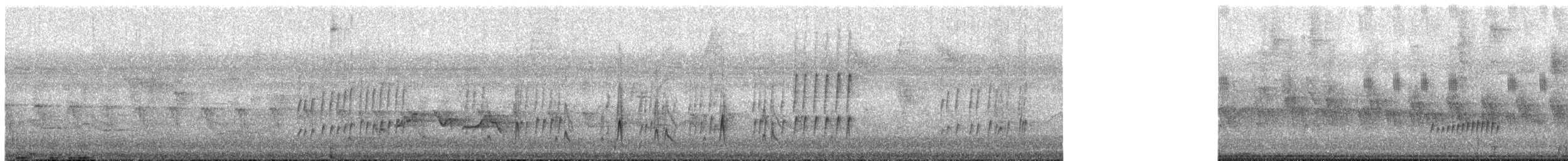 Yellow Tyrannulet - ML168578421