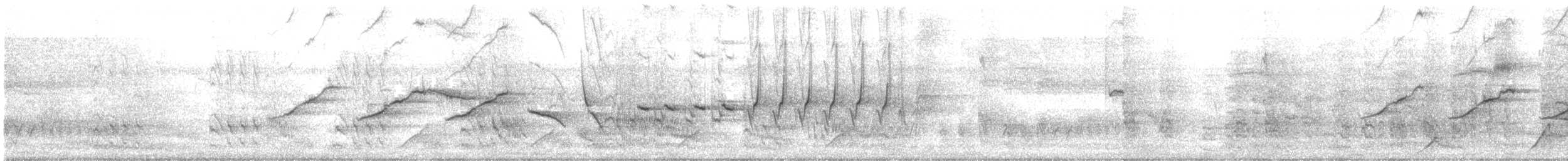 Sporophile de Morelet - ML168611041