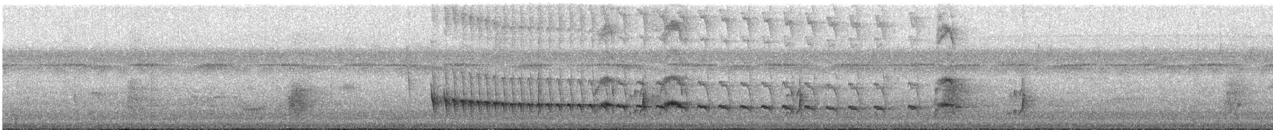 Spechtschnabel-Baumsteiger - ML168617821