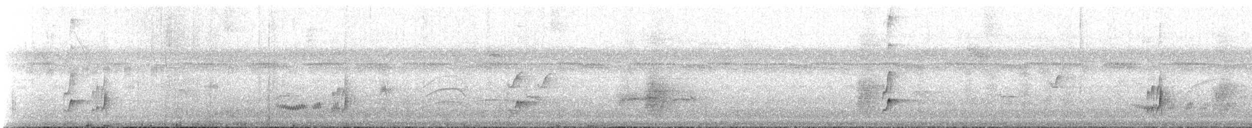 Brown-crested Flycatcher - ML168617961