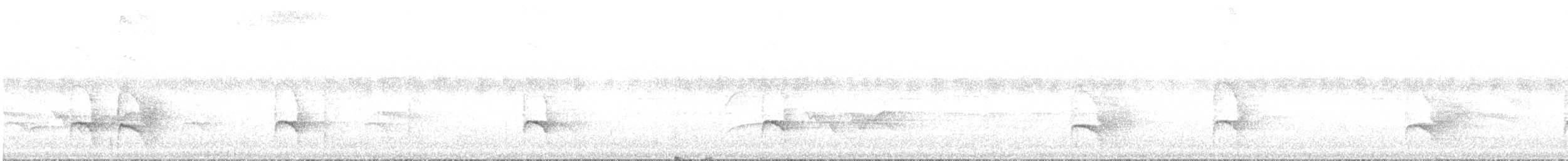 Ak Kaşlı Karıncakuşu - ML168618021
