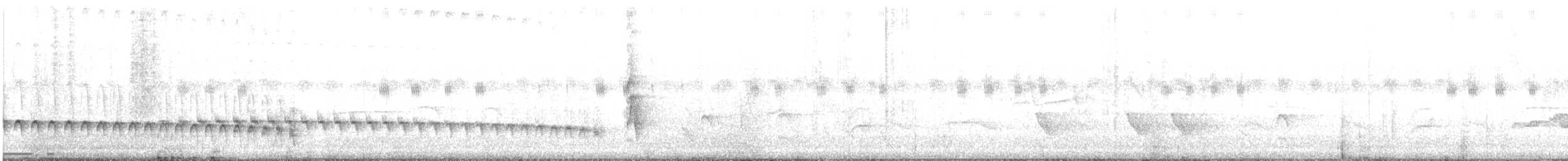Weißstirn-Ameisenschnäpper - ML168618081
