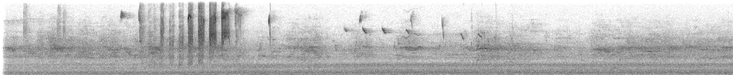 kolibřík bělobřichý - ML168624971