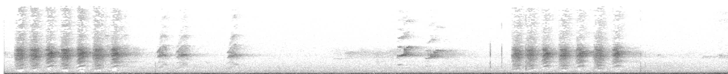 Glanzfleckdrongo - ML168637821