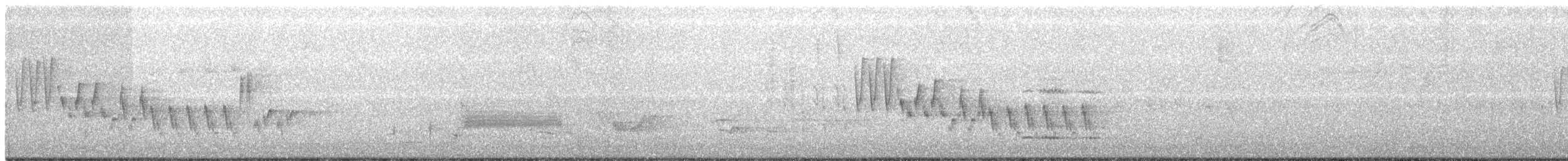 Northern House Wren (Northern) - ML168689621