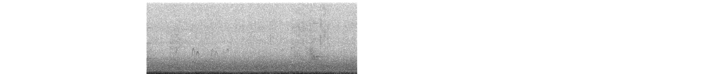 Malaysian Plover - ML168691851