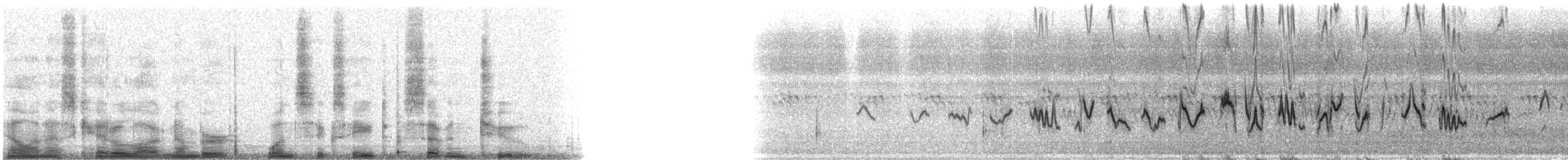 papežík modrý - ML16872