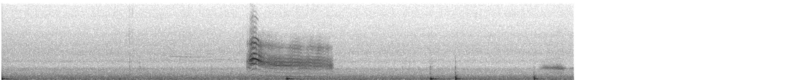 rødhalevåk (borealis) - ML168737831