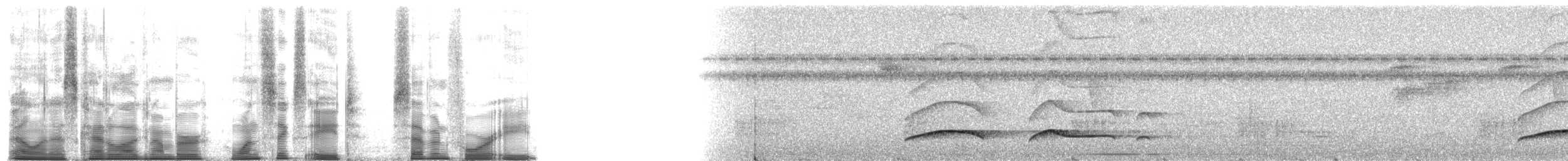 Ochraceous Attila - ML168748