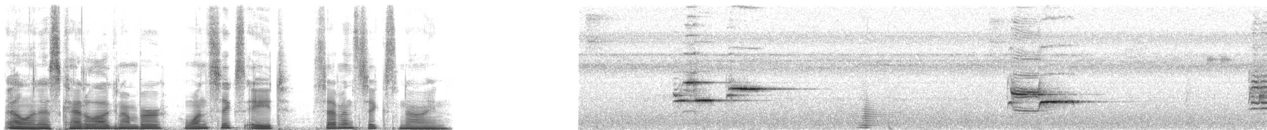 Дрізд-короткодзьоб андійський - ML168769