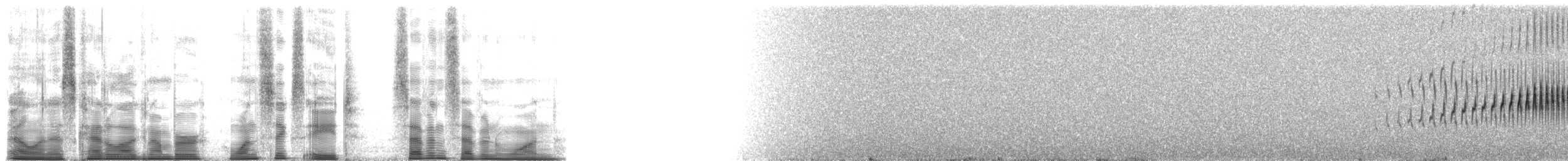 Streak-backed Canastero (Streak-backed) - ML168771