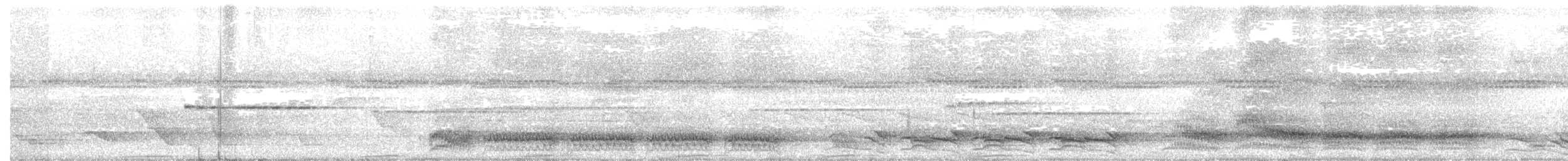 Bänderparadiesvogel - ML168812461