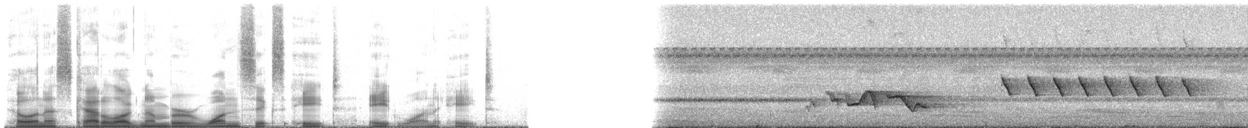 krattmyggsmett (parvirostris) - ML168818