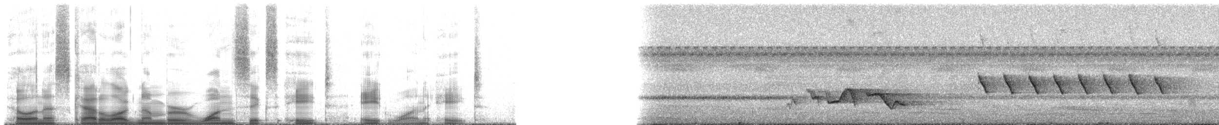 カオジロブユムシクイ（parvirostris） - ML168818