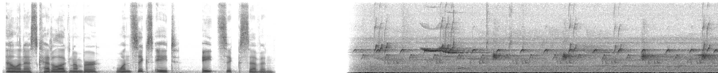 Borneobronzemännchen - ML168867