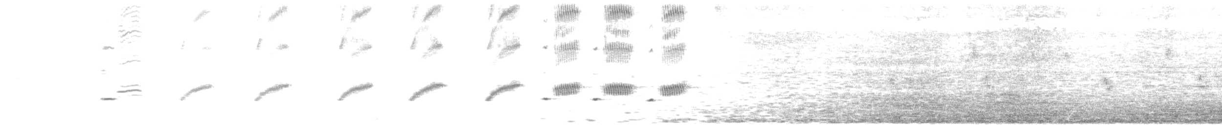 Northern Mockingbird - ML168879251