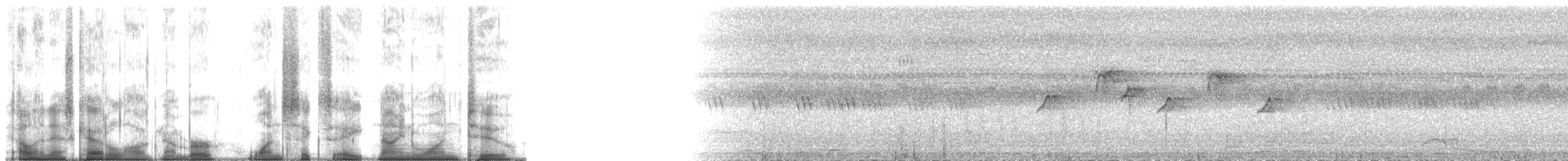 Солнечная нектарница - ML168912