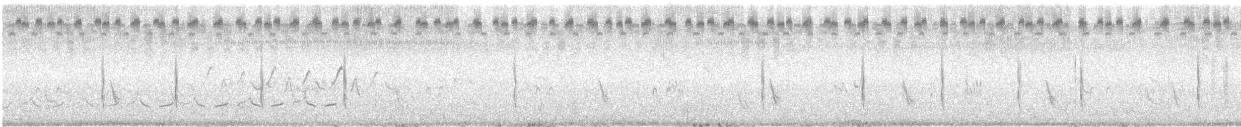 Приморская овсянка-барсучок - ML168921261